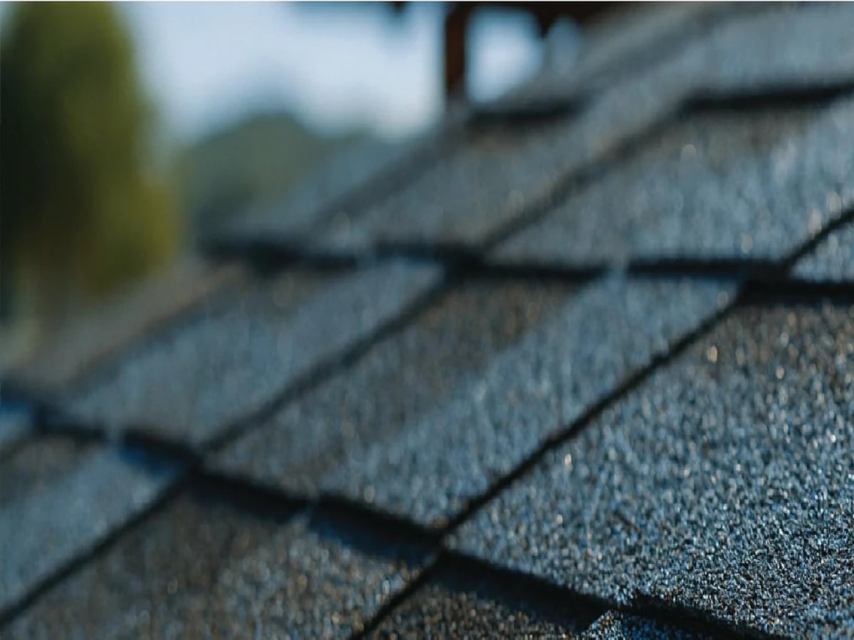 LR Designer Shingles — Laminated